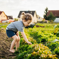 young girl gardening